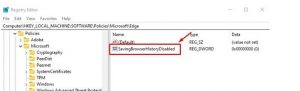 Saving Browser History Disabled..