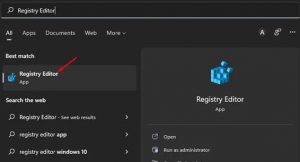 Registry Editor