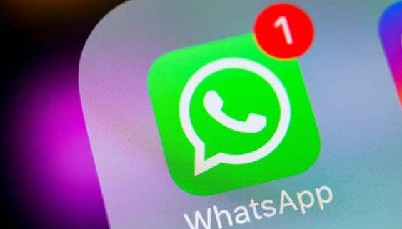 WhatsApp Rolls Out Request Account Info Feature on Desktop
