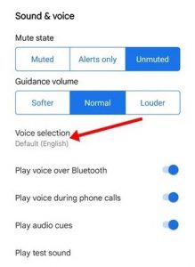 Voice selection